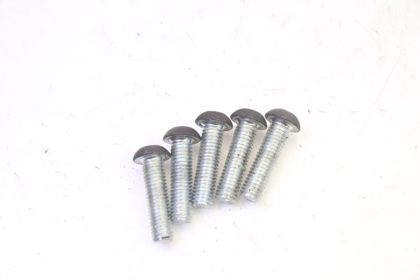 photo de TORNILLO DEL DISCO DE FRENO PEUGEOT CITYSTAR 50 (2013 - 2017) - Zoom estado de uso