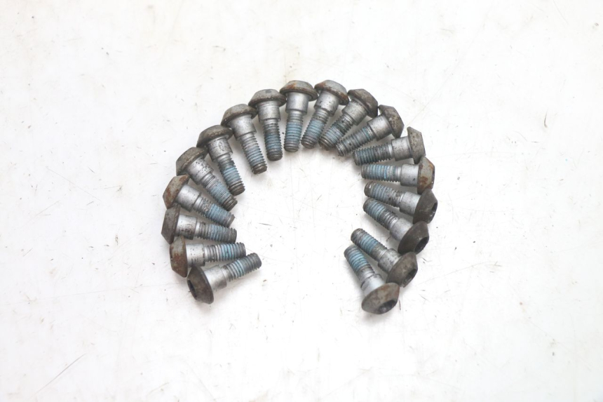 photo de TORNILLO DEL DISCO DE FRENO YAMAHA FJR 1300 (2001 - 2005) - Detalle de la pieza