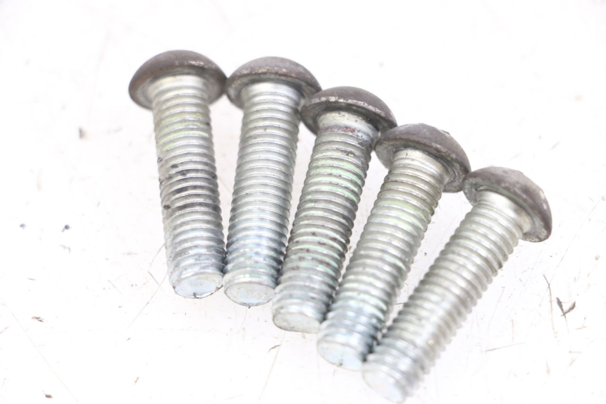 photo de TORNILLO DEL DISCO DE FRENO PEUGEOT GEOPOLIS RS 125 (2007 - 2009) - Zoom estado de uso