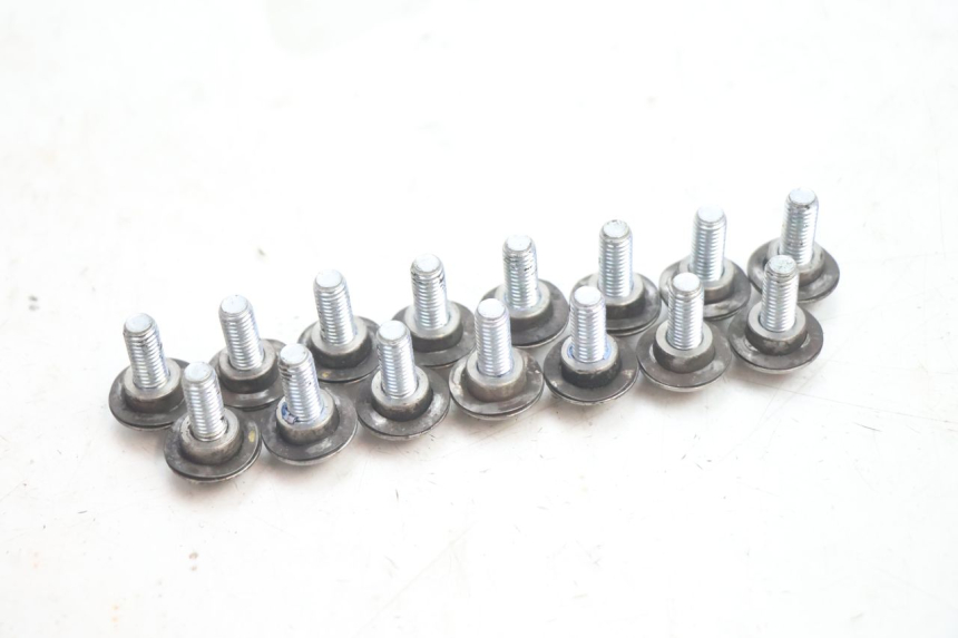 photo de TORNILLO DEL DISCO DE FRENO GILERA GP 800 (2007 - 2013) - Zoom estado de uso