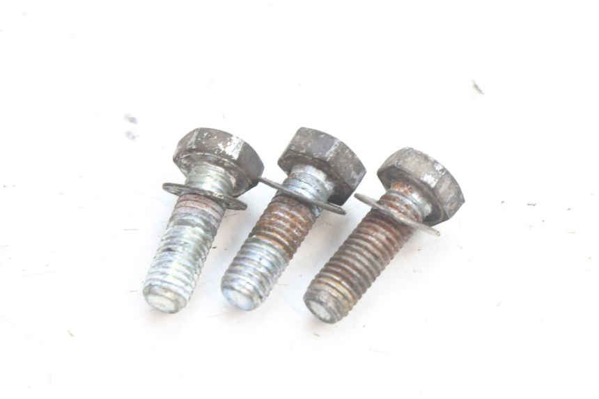photo de TORNILLO DEL DISCO DE FRENO RIEJU MRT PRO SUPERMOTARD 50 (2007 - 2018) - Zoom estado de uso