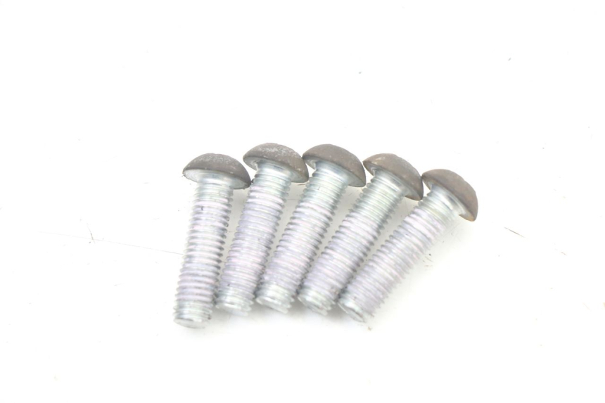 photo de TORNILLO DEL DISCO DE FRENO PEUGEOT CITYSTAR 125 (2011 - 2017) - Vista principal