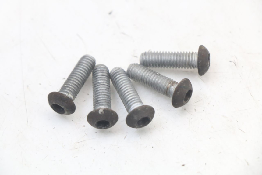 photo de TORNILLO DEL DISCO DE FRENO PIAGGIO NEW TYPHOON 50 (2010 - 2017) - Vista principal