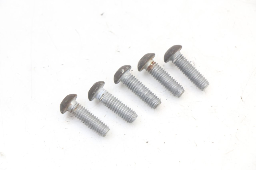 photo de TORNILLO DEL DISCO DE FRENO PIAGGIO NEW TYPHOON 50 (2010 - 2017) - Zoom estado de uso