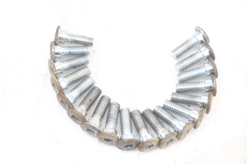 photo de TORNILLO DEL DISCO DE FRENO REGAL RAPTOR RAXTER 2 125 (2007 - 2015) - Detalle de la pieza