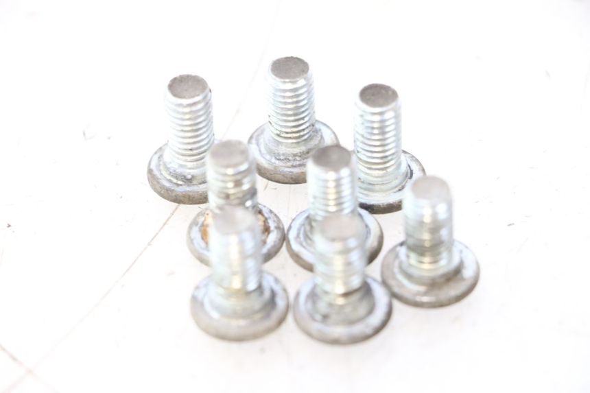photo de TORNILLO DEL DISCO DE FRENO APOLLO RFZ 140 - Zoom estado de uso