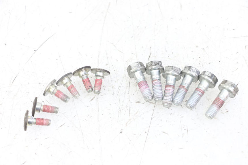 photo de TORNILLO DEL DISCO DE FRENO ROYAL ENFIELD HYMALAYAN 410 (2016 - 2023) - Vista principal