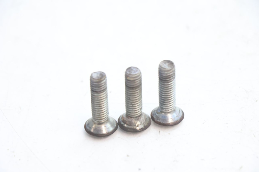 photo de TORNILLO DEL DISCO DE FRENO PEUGEOT SPEEDFIGHT LC 50 (1996 - 2002) - Zoom estado de uso