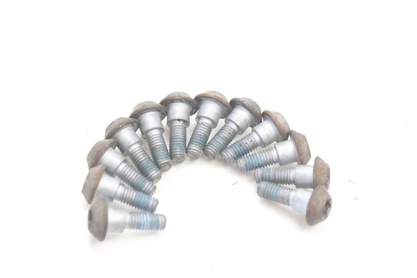 photo de TORNILLO DEL DISCO DE FRENO YAMAHA TDM ABS 900 (2002 - 2014) - Zoom estado de uso
