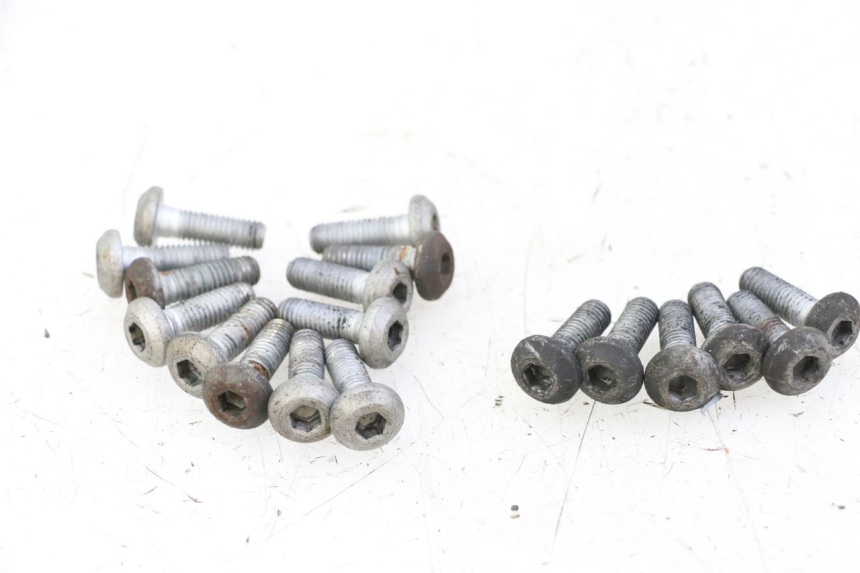 photo de TORNILLO DEL DISCO DE FRENO YAMAHA XJN DIVERSION 600 (2000 - 2003) - Vista general del producto