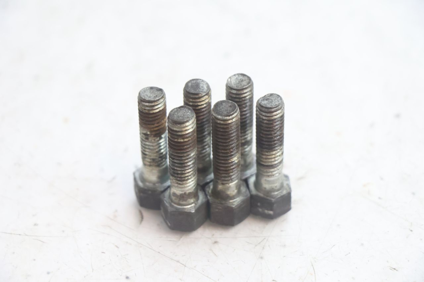 photo de TORNILLO DEL DISCO DE FRENO YAMAHA XV VIRAGO 535 (1988 - 2004) - Zoom estado de uso